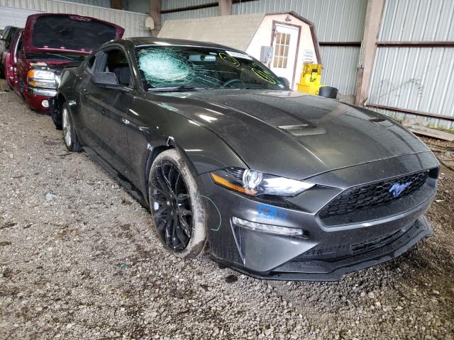 FORD MUSTANG 2019 1fa6p8th9k5174909