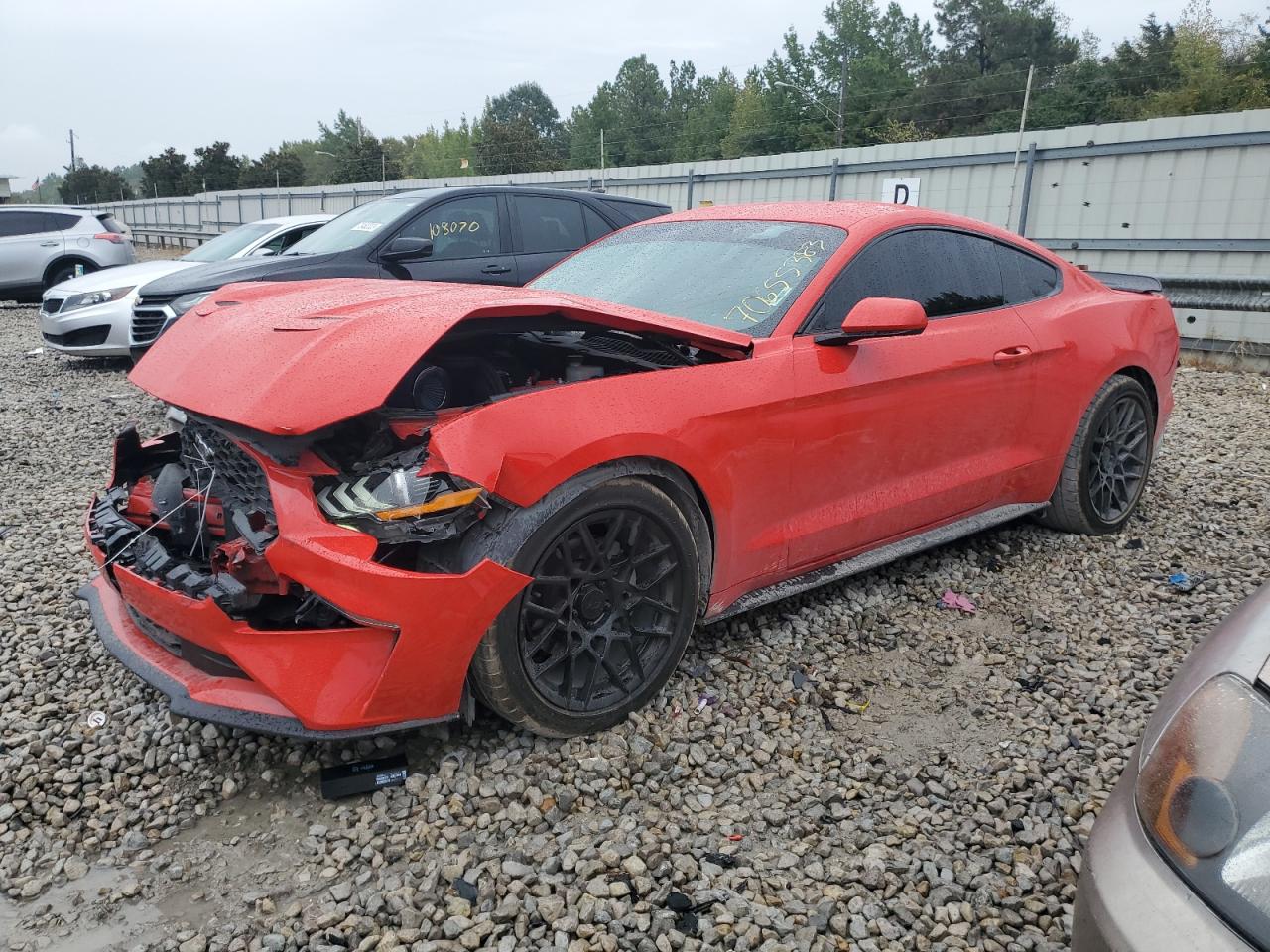 FORD MUSTANG 2019 1fa6p8th9k5177714