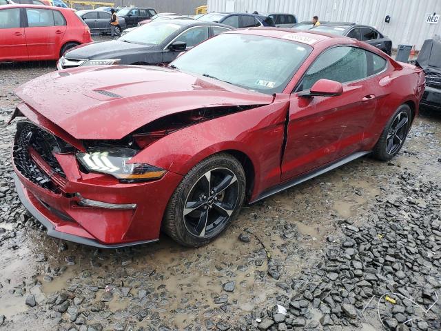 FORD MUSTANG 2019 1fa6p8th9k5199020