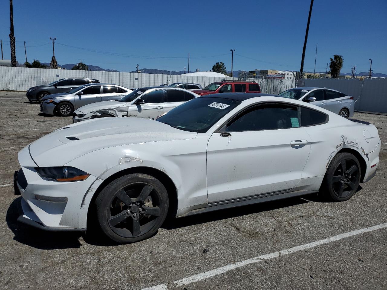 FORD MUSTANG 2020 1fa6p8th9l5101010