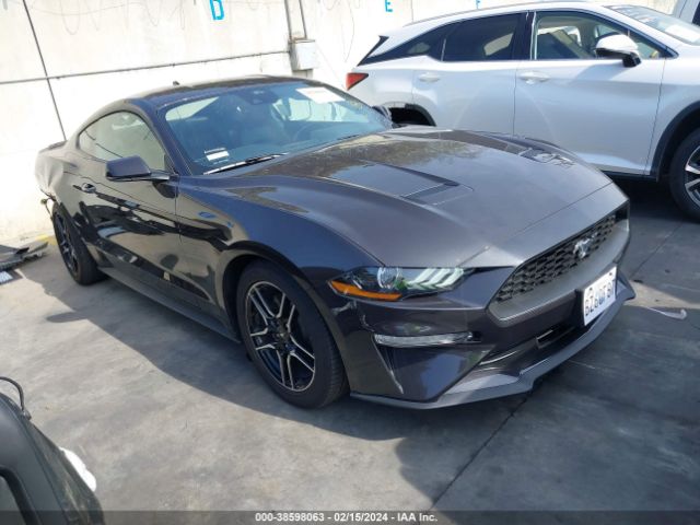 FORD MUSTANG 2023 1fa6p8th9p5101210