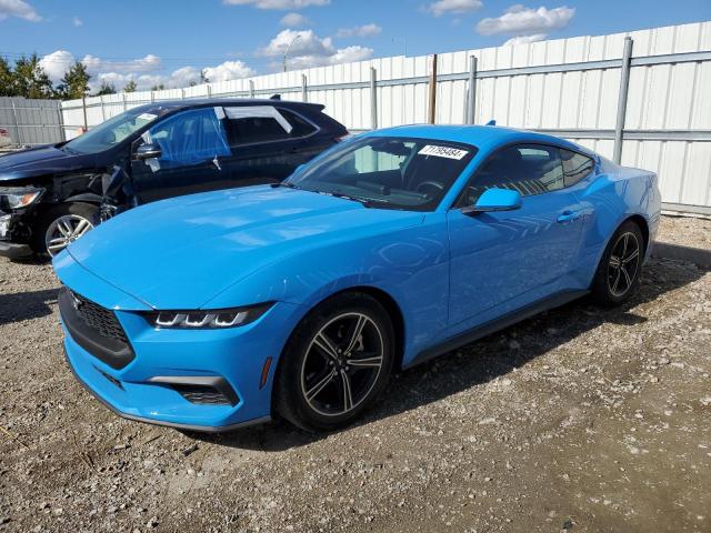 FORD MUSTANG 2024 1fa6p8th9r5131245