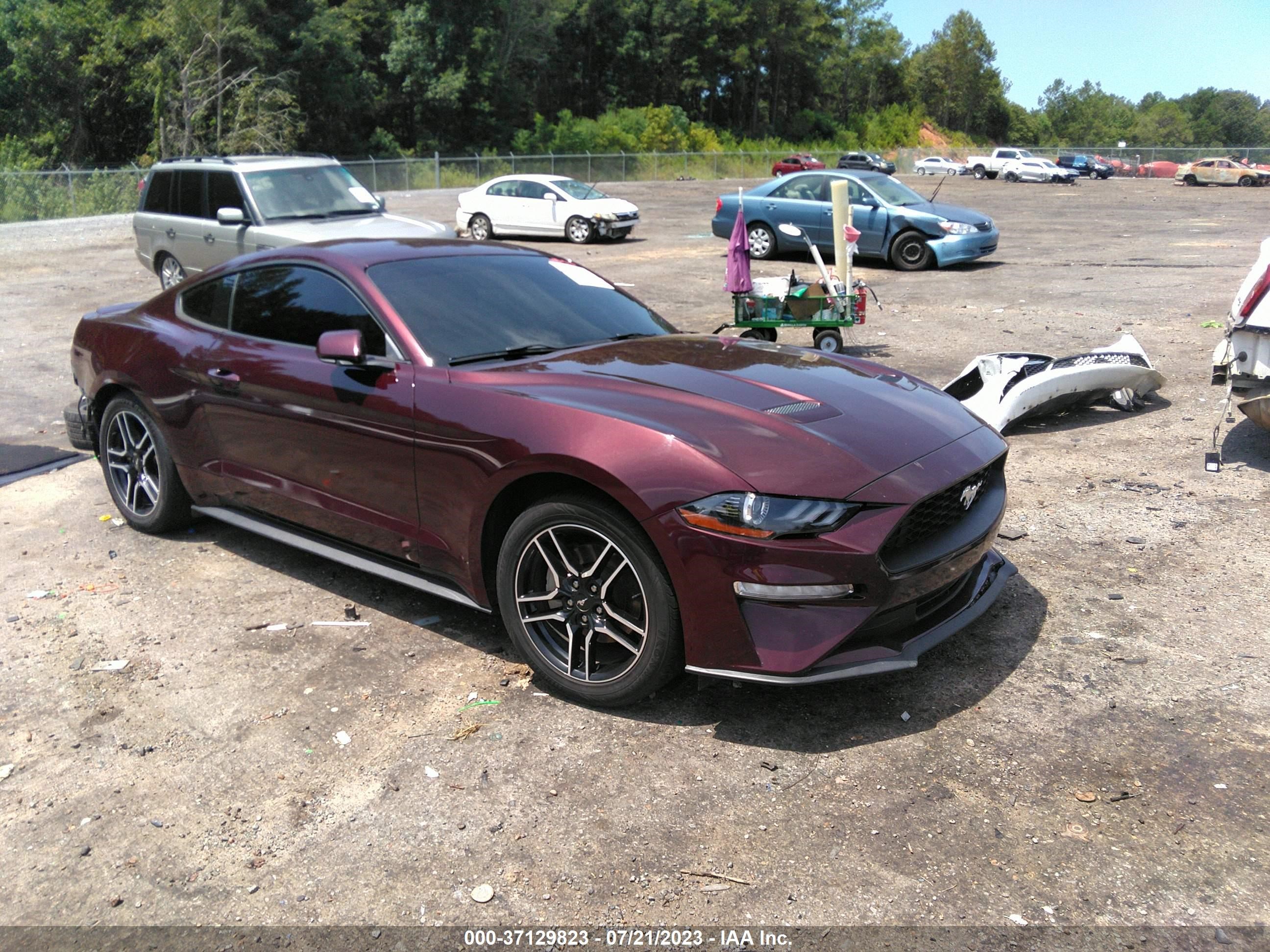 FORD MUSTANG 2018 1fa6p8thxj5104544