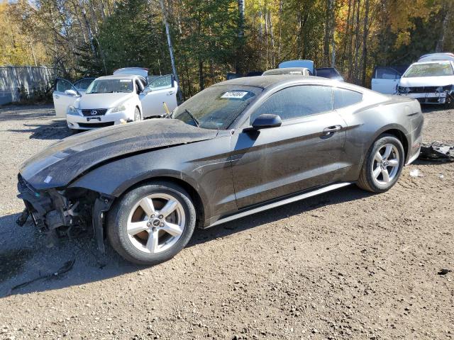 FORD MUSTANG 2019 1fa6p8thxk5102956