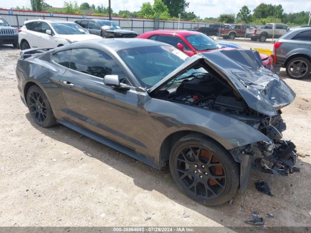 FORD MUSTANG 2019 1fa6p8thxk5142924