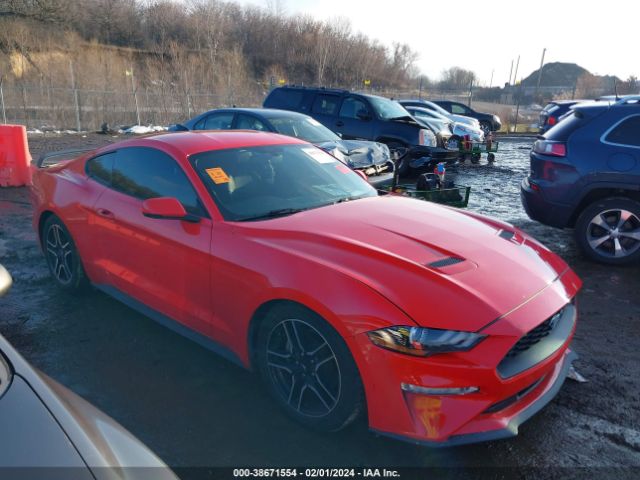 FORD MUSTANG 2019 1fa6p8thxk5150599