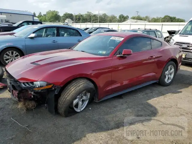 FORD MUSTANG 2019 1fa6p8thxk5166589