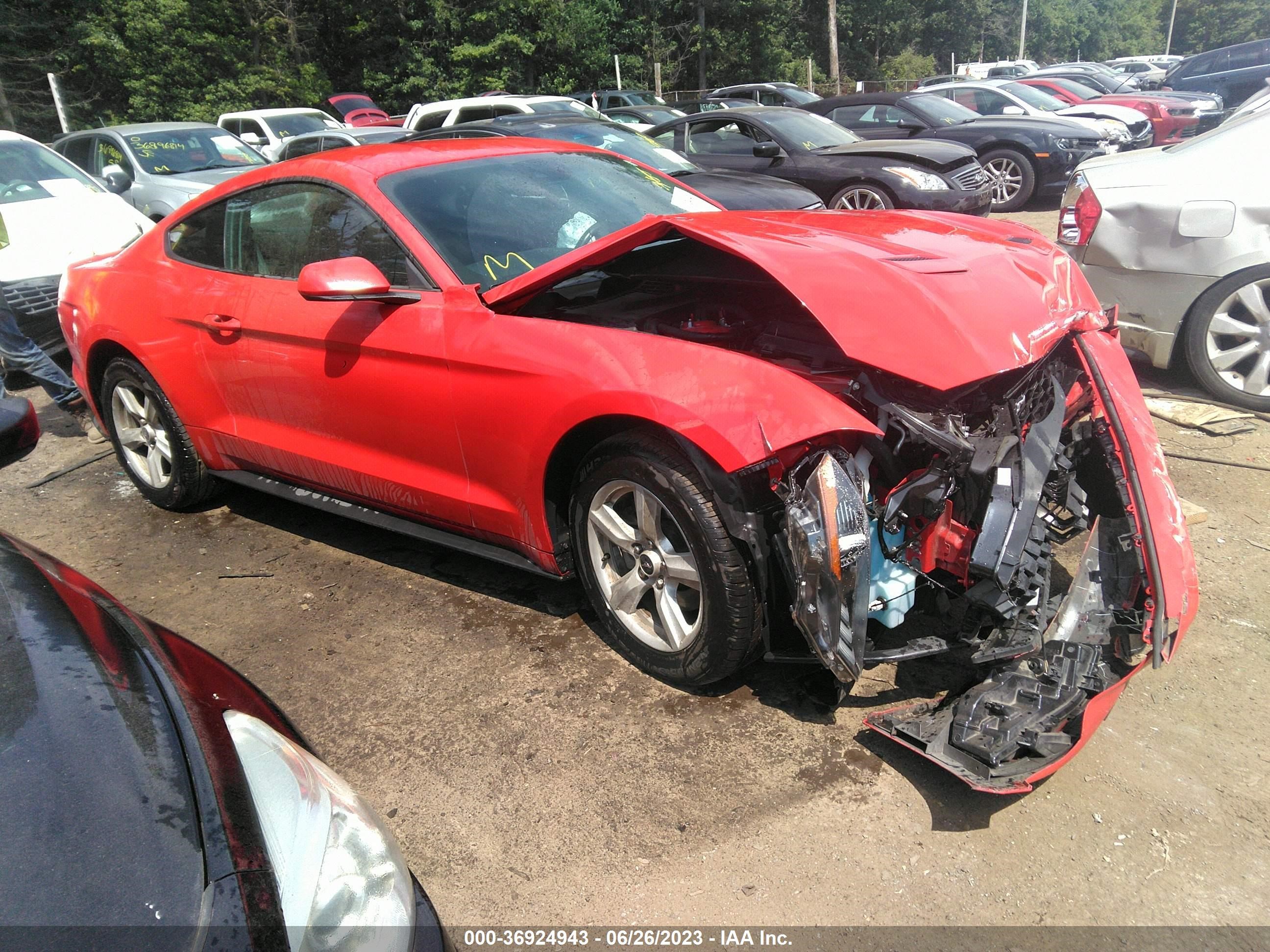 FORD MUSTANG 2019 1fa6p8thxk5167435