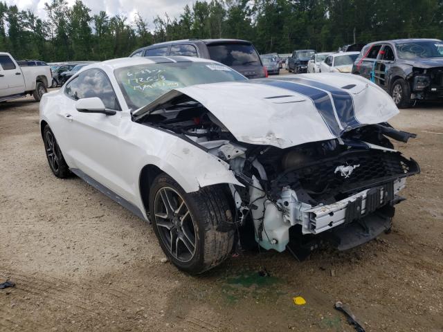 FORD MUSTANG 2019 1fa6p8thxk5172053