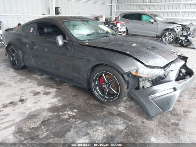 FORD MUSTANG 2019 1fa6p8thxk5191573