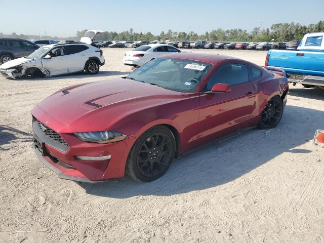 FORD MUSTANG 2019 1fa6p8thxk5201857