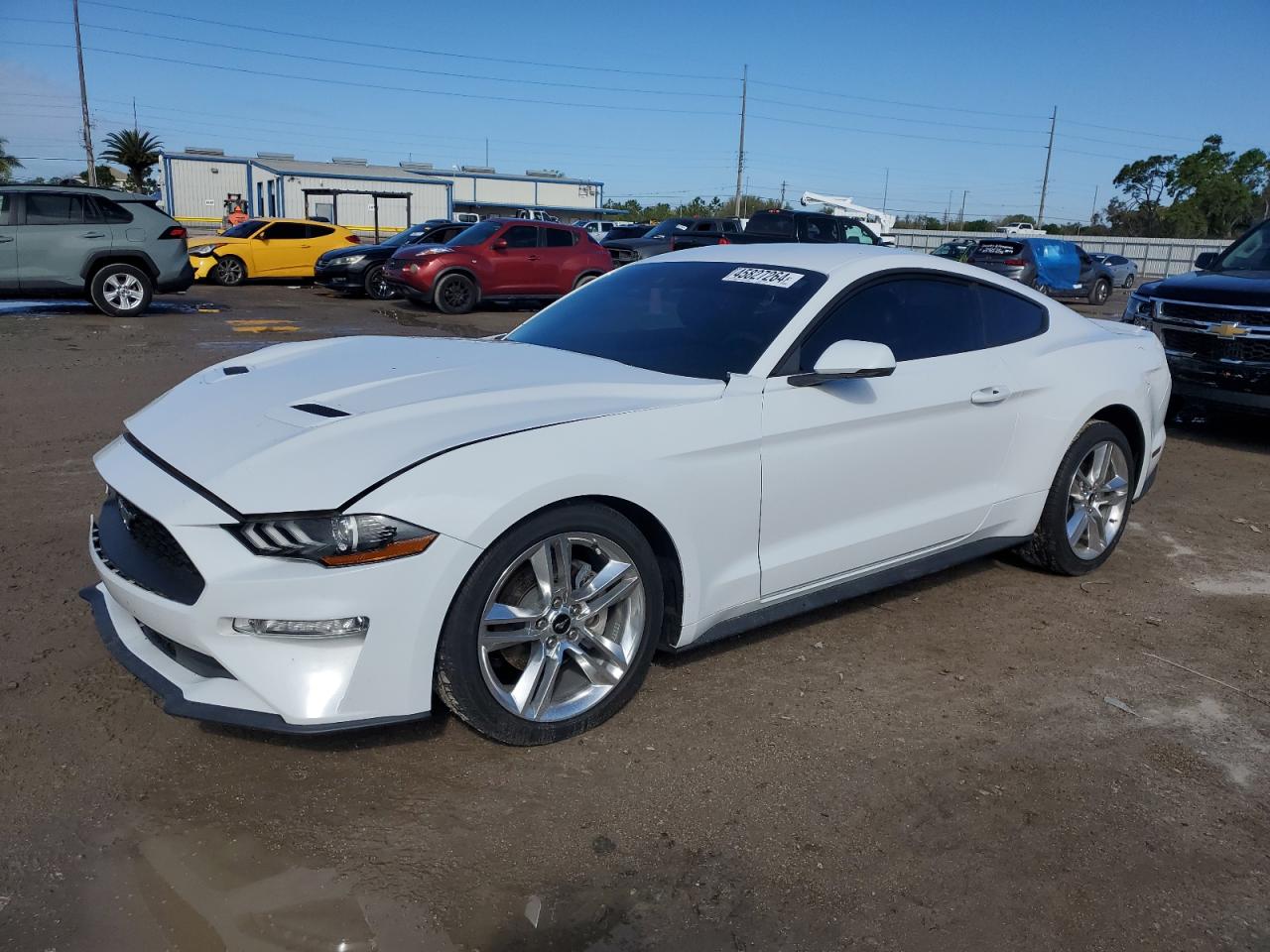 FORD MUSTANG 2020 1fa6p8thxl5129012