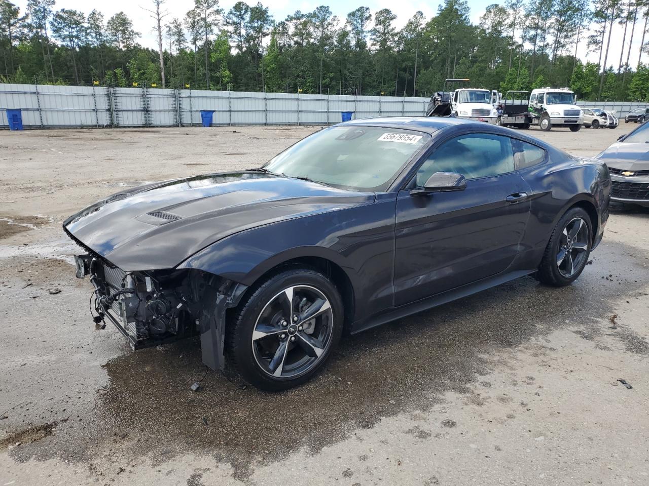 FORD MUSTANG 2022 1fa6p8thxn5147349