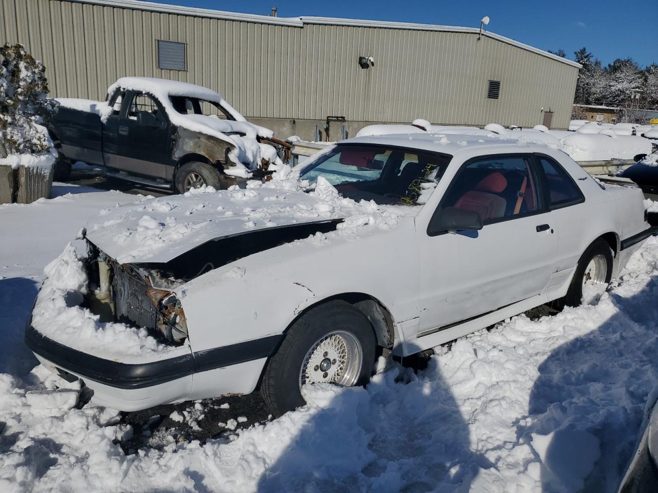 FORD THUNDERBIRD 1988 1fabp61f2jh207833