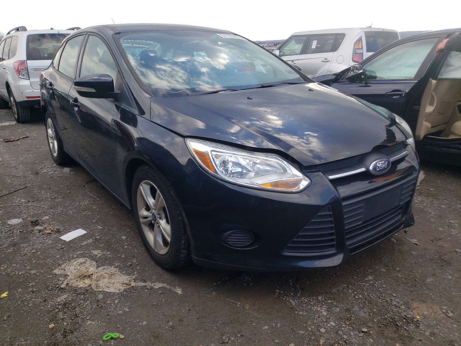 FORD NULL 2013 1fadp3f20dl129132