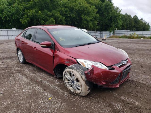 FORD FOCUS SE 2013 1fadp3f20dl286787