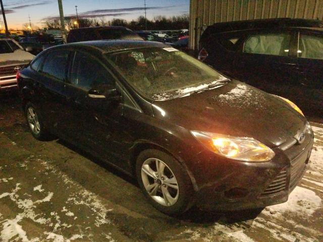 FORD FOCUS SE 2013 1fadp3f20dl330061