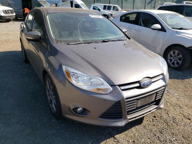 FORD FOCUS SE 2013 1fadp3f20dl342565