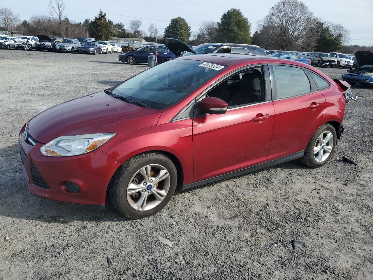 FORD FOCUS 2014 1fadp3f20el164562