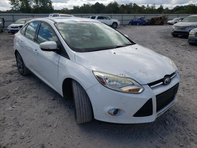 FORD FOCUS SE 2014 1fadp3f20el251295