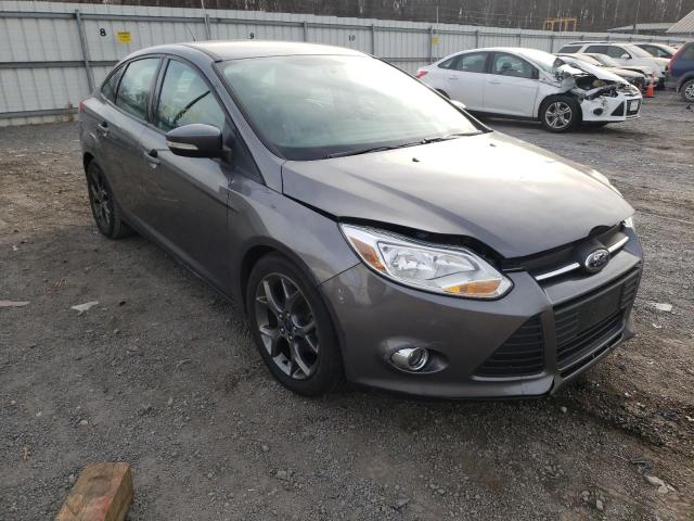 FORD FOCUS SE 2014 1fadp3f20el262281