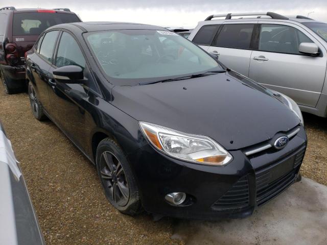 FORD FOCUS SE 2014 1fadp3f20el377043