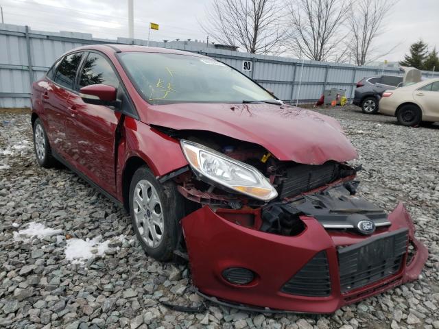 FORD FOCUS 2014 1fadp3f20el384591