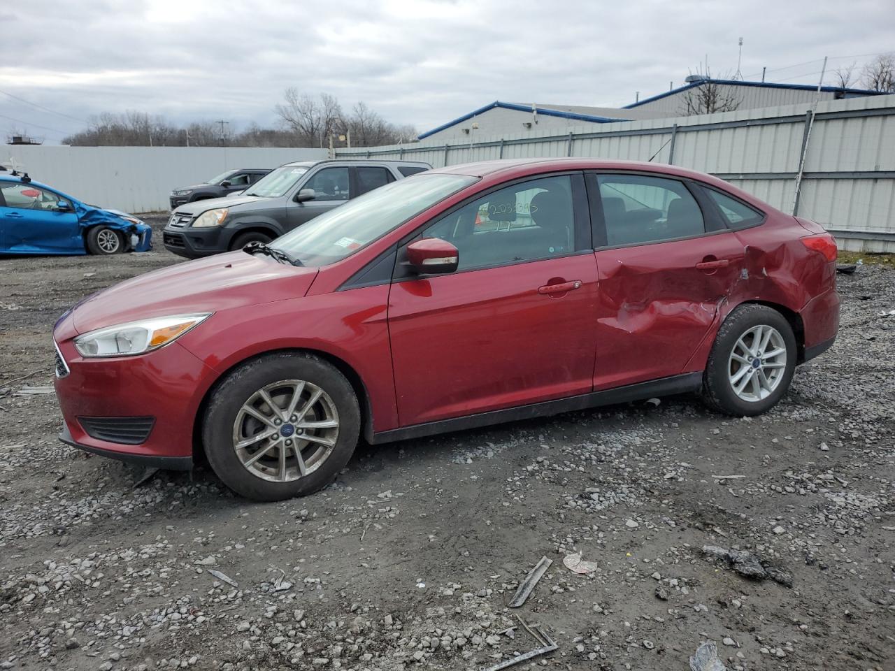 FORD FOCUS 2015 1fadp3f20fl208805