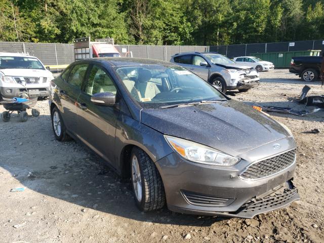 FORD FOCUS SE 2015 1fadp3f20fl226947