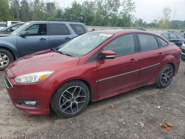 FORD FOCUS SE 2015 1fadp3f20fl231517