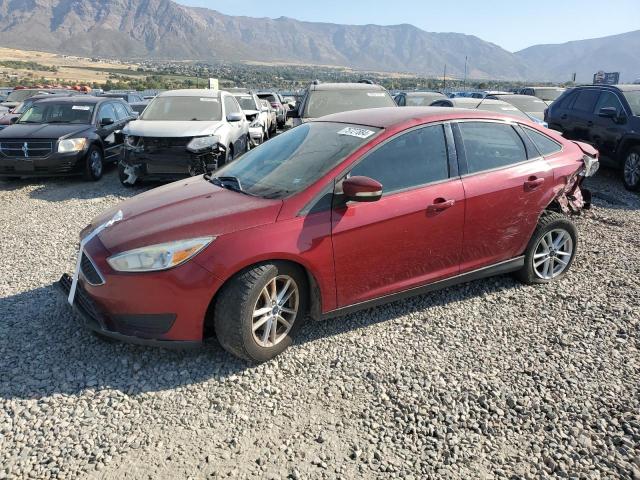 FORD FOCUS SE 2015 1fadp3f20fl287330