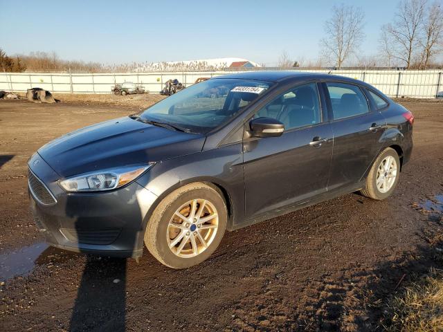 FORD FOCUS 2016 1fadp3f20gl382651