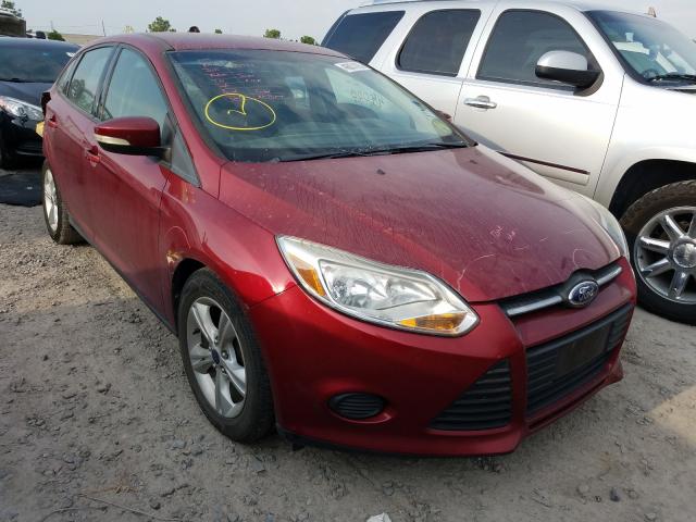 FORD FOCUS SE 2013 1fadp3f21dl295739