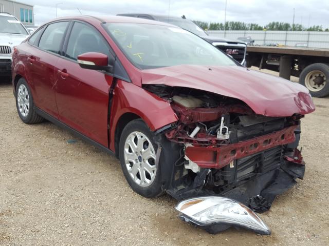 FORD FOCUS SE 2014 1fadp3f21el242752