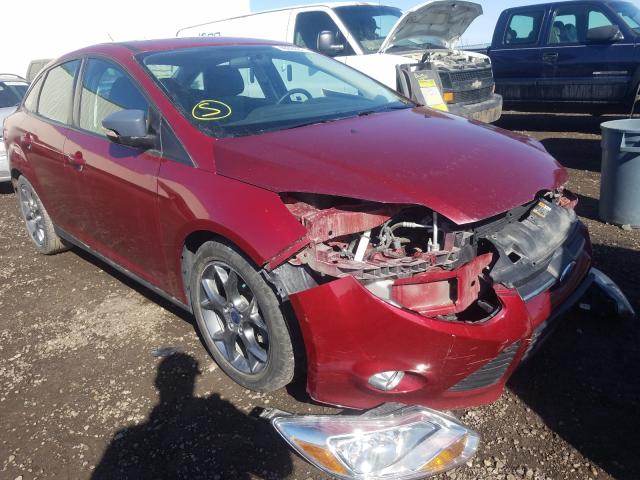 FORD FOCUS SE 2014 1fadp3f21el343368