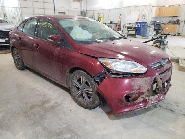 FORD FOCUS SE 2014 1fadp3f21el357495