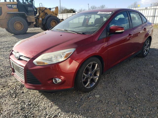 FORD FOCUS SE 2014 1fadp3f21el375219