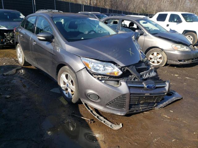 FORD FOCUS SE 2014 1fadp3f21el401835