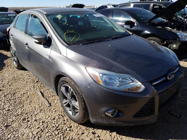 FORD FOCUS SE 2014 1fadp3f21el407134