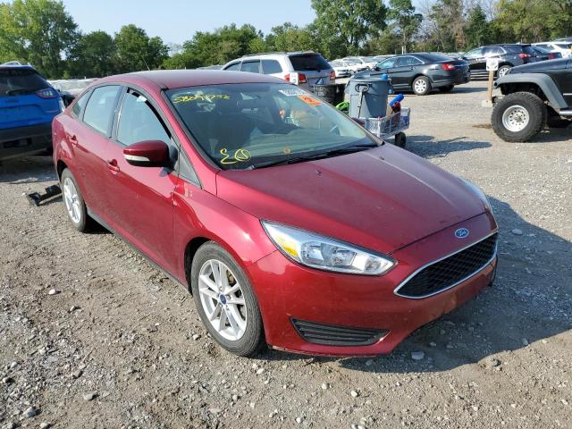 FORD FOCUS SE 2016 1fadp3f21gl250997