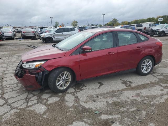 FORD FOCUS 2016 1fadp3f21gl361534