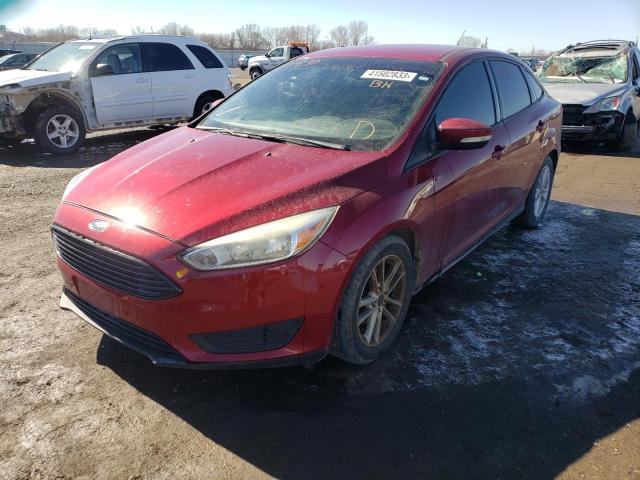 FORD FOCUS SE 2016 1fadp3f21gl379550