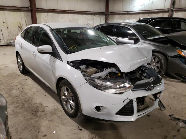 FORD FOCUS SE 2014 1fadp3f22el299784