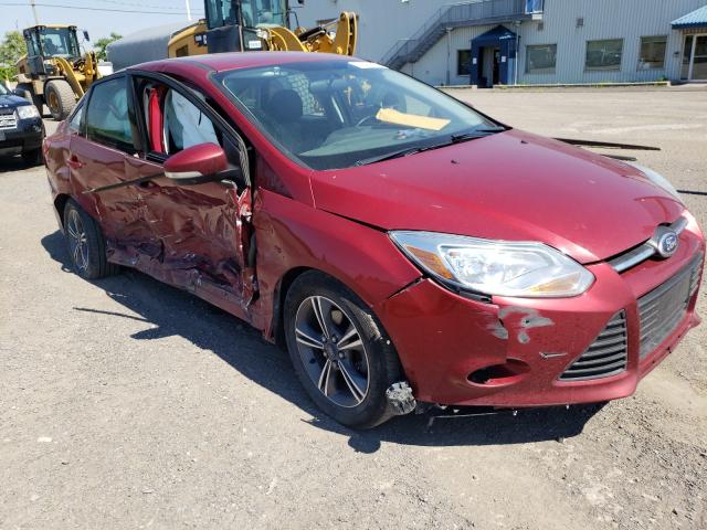 FORD FOCUS SE 2014 1fadp3f22el315126