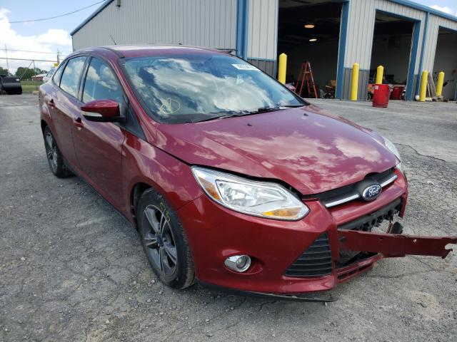 FORD FOCUS SE 2014 1fadp3f22el339507