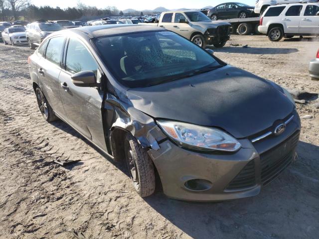 FORD FOCUS SE 2013 1fadp3f23dl285746