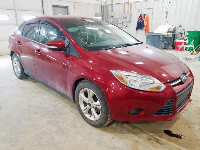 FORD NULL 2013 1fadp3f23dl302531