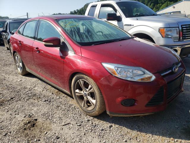 FORD FOCUS SE 2013 1fadp3f23dl371431