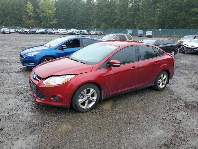 FORD FOCUS SE 2014 1fadp3f23el112424