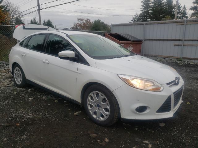 FORD FOCUS SE 2014 1fadp3f23el342562